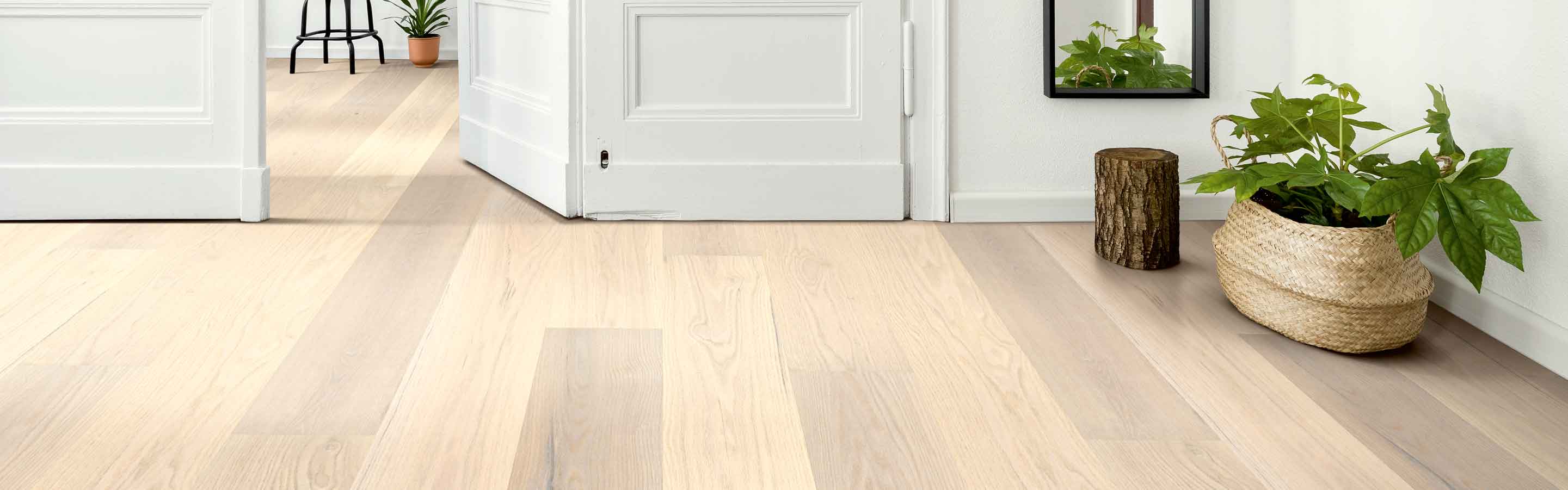 light white oak hardwood floors in modern entryway with plant